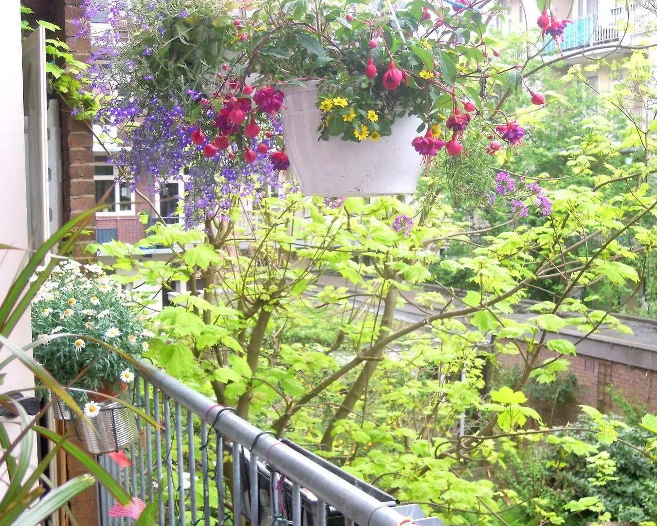 Missortelia B&B Amszterdam Panzió