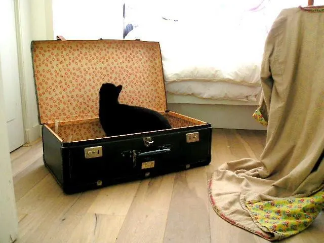 Bed & Breakfast Missortelia B&B Amsterdam