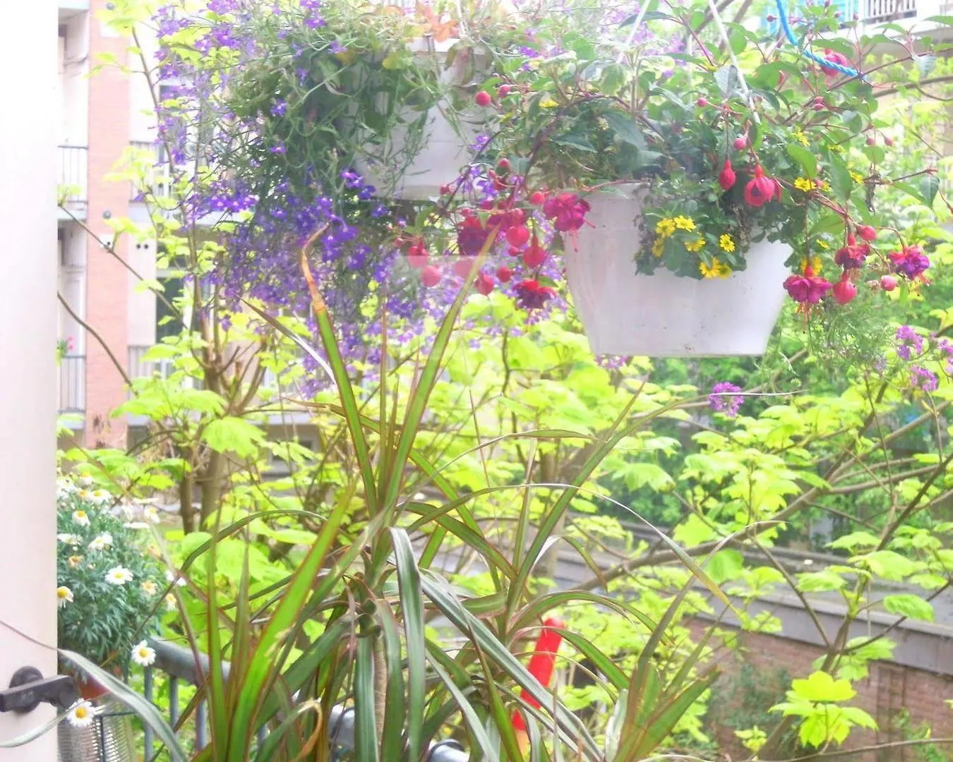 Bed & Breakfast Missortelia B&B Amsterdam